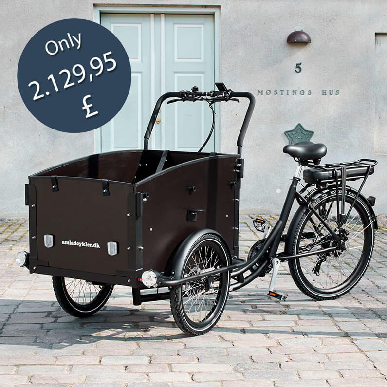 Electric Cargo Bike – Ultimate Curve